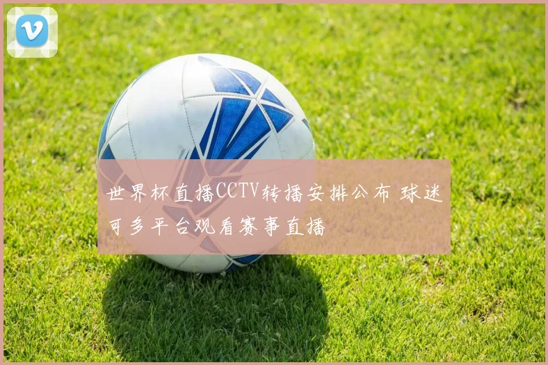 世界杯直播CCTV转播安排公布 球迷可多平台观看赛事直播
