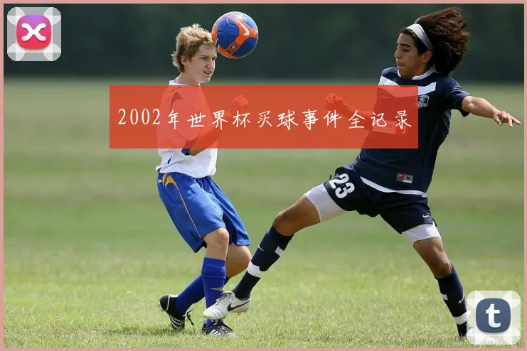 2002年世界杯买球事件全记录